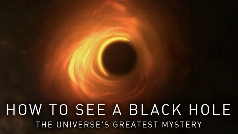 How to See a Black Hole: The Universe's Greatest Mystery screenshot 2