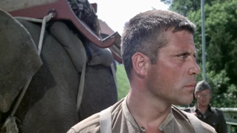 Hannibal Brooks screenshot 7