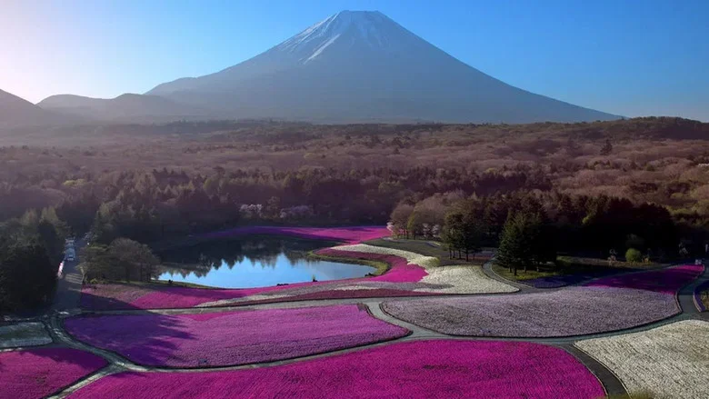 Japon, aux racines du soleil screenshot 2