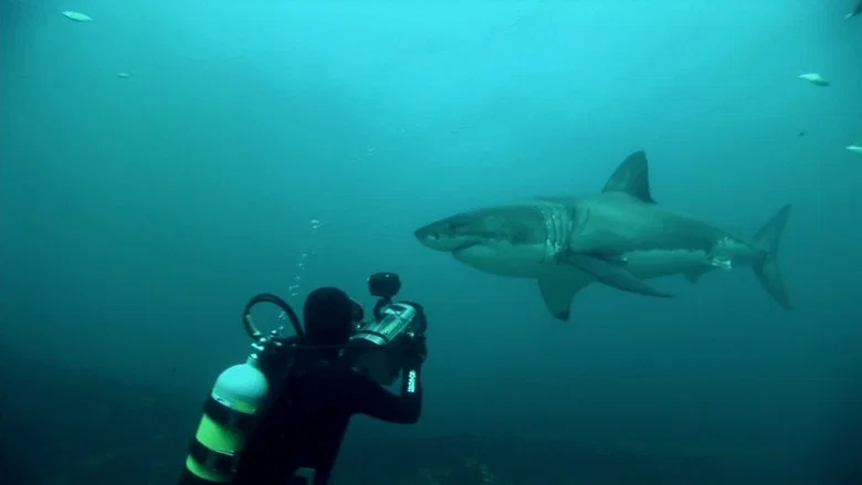 Great White Shark: A Living Legend screenshot 1