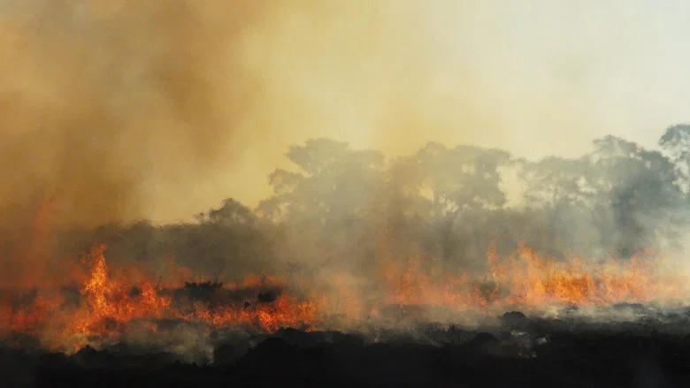 Outro Fogo screenshot 1