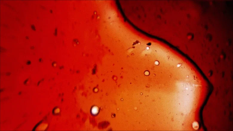 She Dies Tomorrow screenshot 5