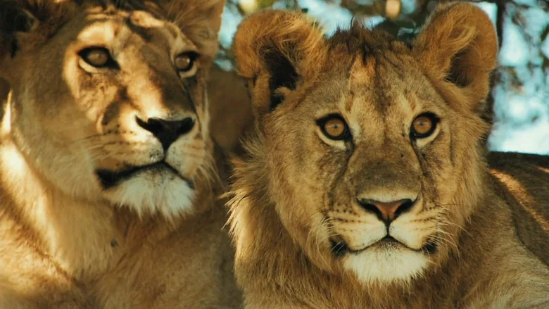 Lions Rule screenshot 5