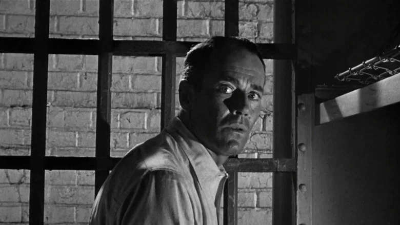 The Wrong Man screenshot 8