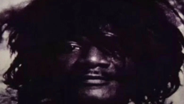 Triste Trópico screenshot 2
