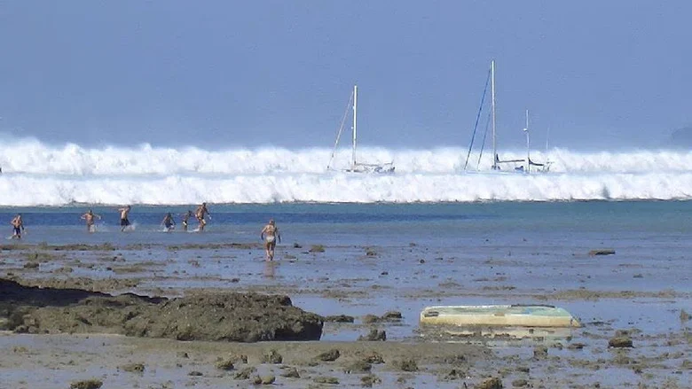 Tsunami: Caught on Camera screenshot 1
