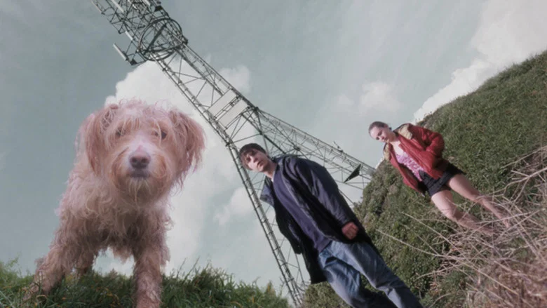 Dog screenshot 1