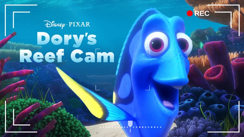 Dory's Reef Cam screenshot 5