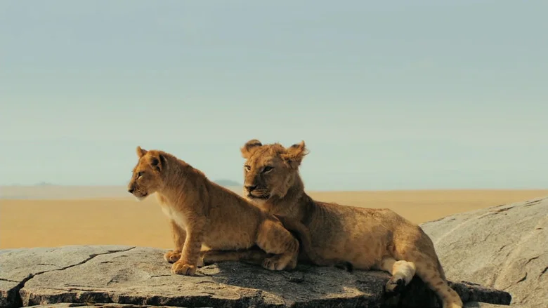 Lions Rule screenshot 3