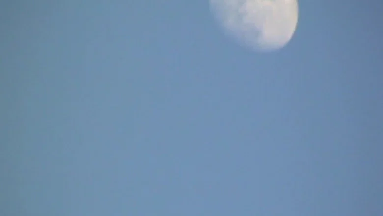 Moonwalk screenshot 1