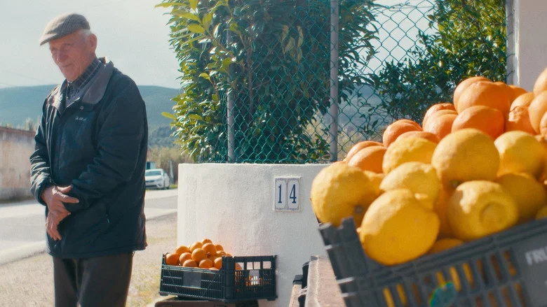 O Tempo De Comer Uma Laranja screenshot 1