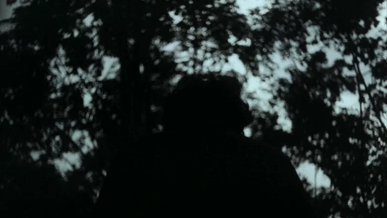 Pokkuveyil screenshot 6