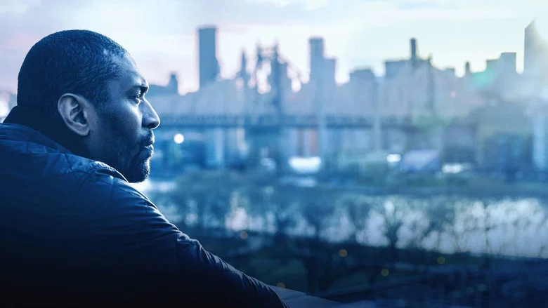 Quiet Storm: The Ron Artest Story screenshot 2