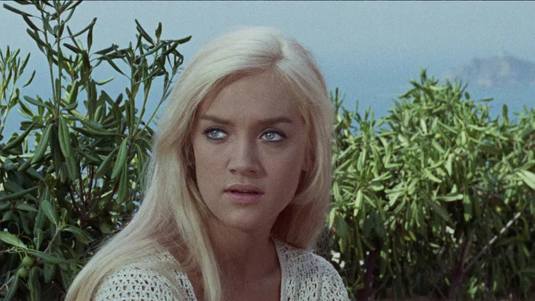 The Sex of Angels screenshot 8