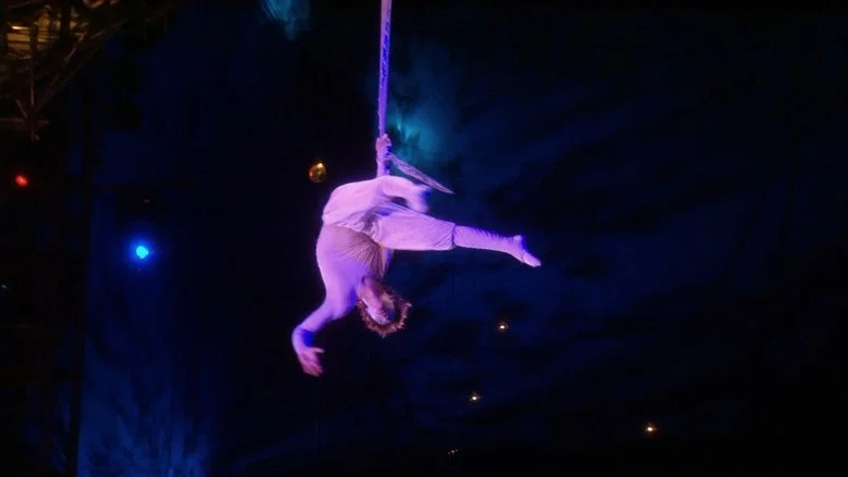 Cirque du Soleil: Varekai screenshot 5