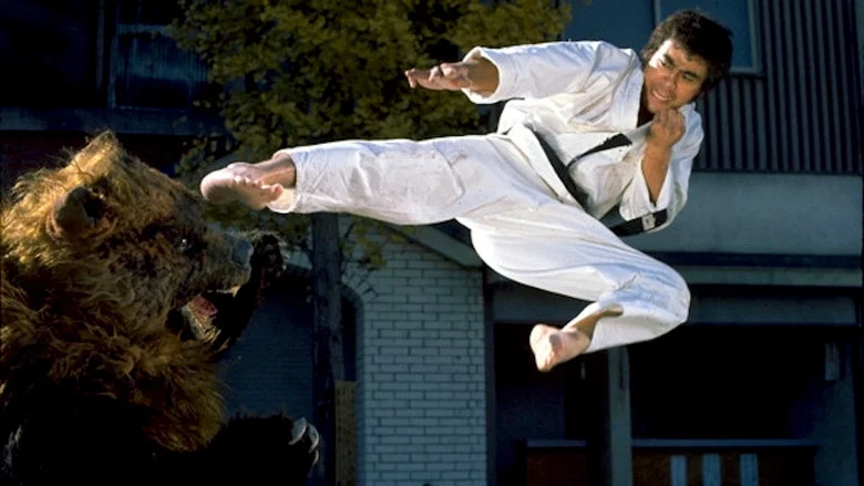 Karate Bear Fighter screenshot 1