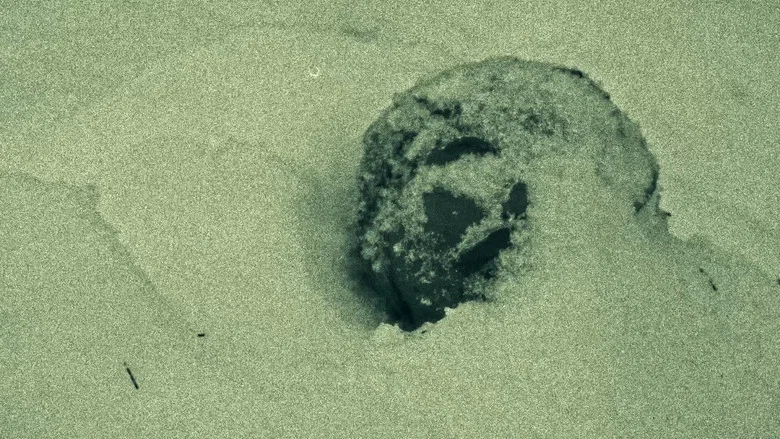 Tommy The Smoker screenshot 6