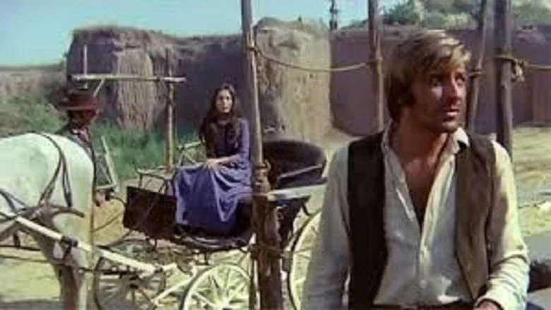 Brother Outlaw screenshot 1