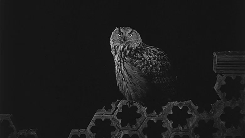 Satantango screenshot 2