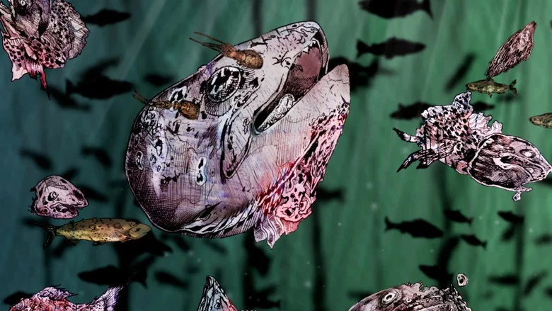 Salmon screenshot 6