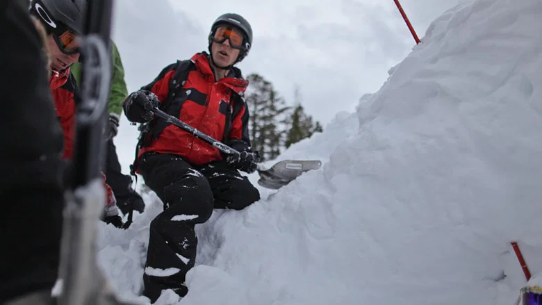 Snow Guardians screenshot 3