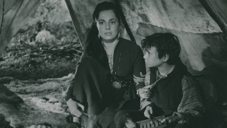 Singoalla screenshot 1