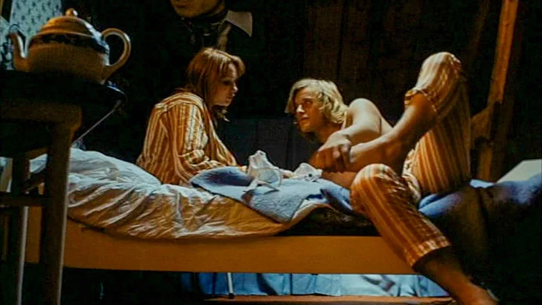 Turkish Delight screenshot 5