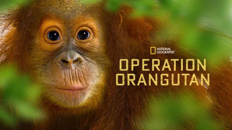 Operation Orangutan screenshot 3