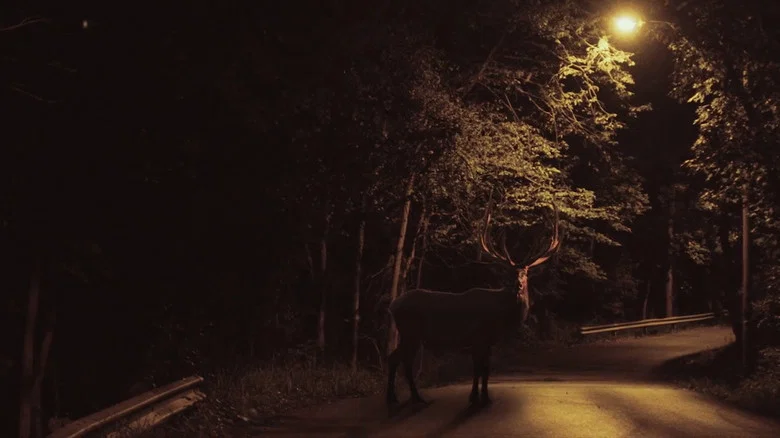 Lotawana screenshot 5