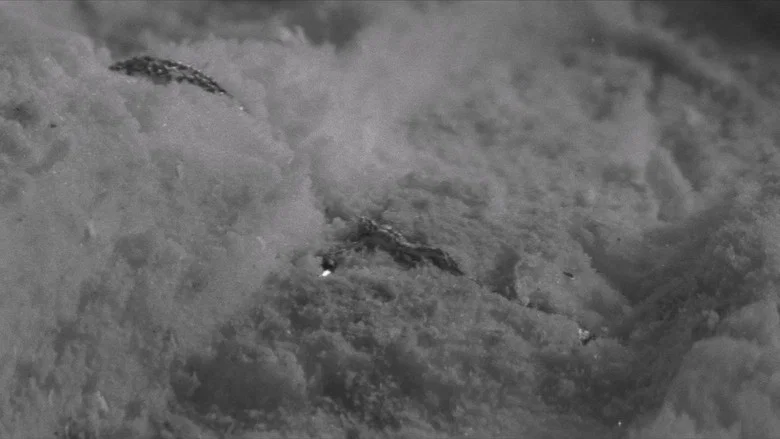 Fighting Elegy screenshot 7