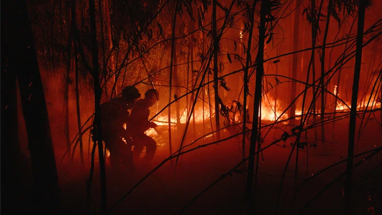 Lessons in Fire screenshot 2