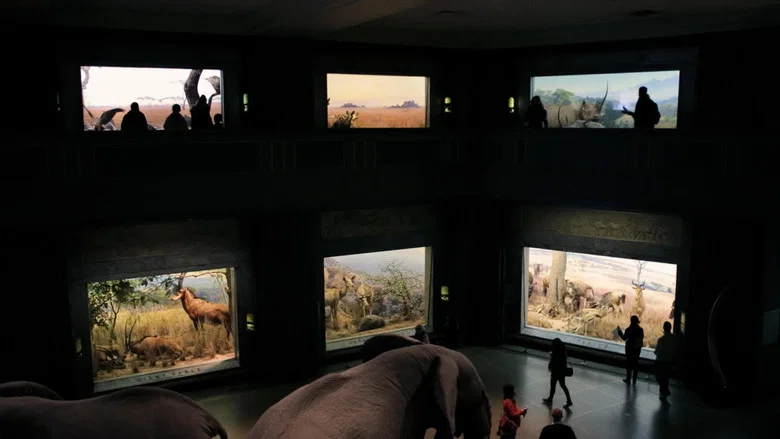 Curiosity and Control screenshot 4