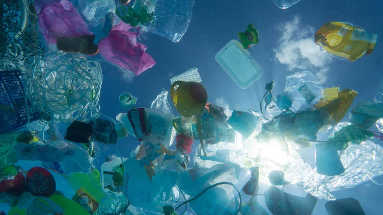 A Plastic Ocean screenshot 4