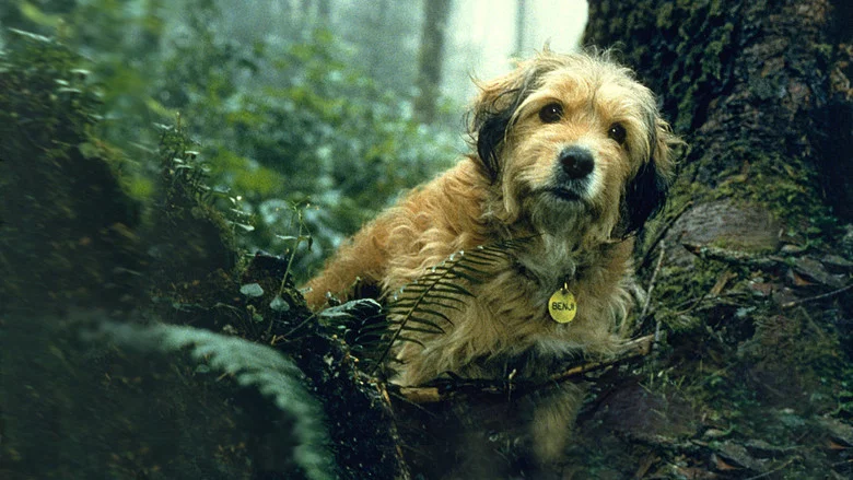 Benji the Hunted screenshot 7