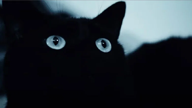 Alice Was My Name screenshot 3