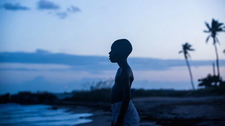 Moonlight screenshot 2