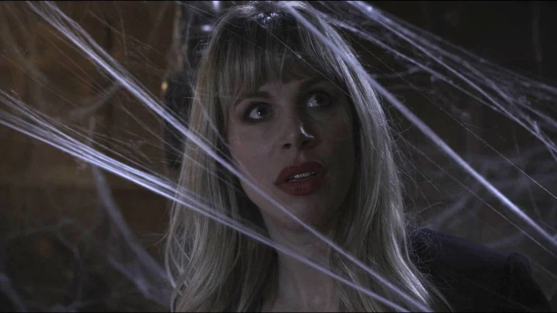 Spider in the Attic screenshot 1