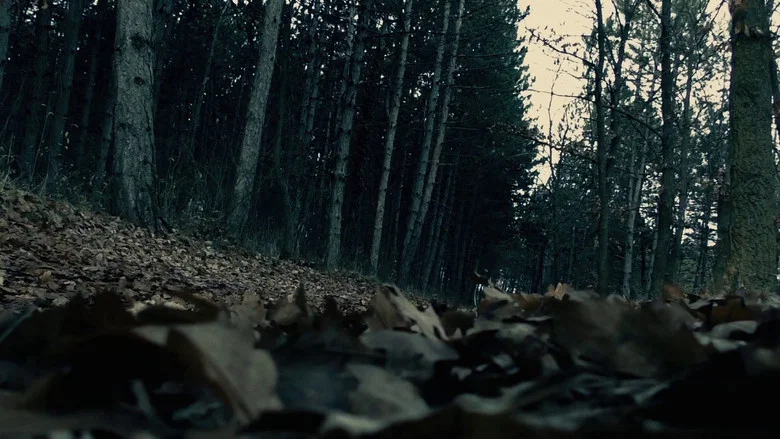 Moth screenshot 1