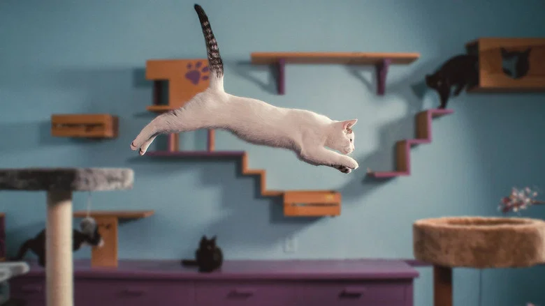 Inside the Mind of a Cat screenshot 3
