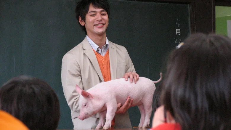 School Days with a Pig screenshot 3