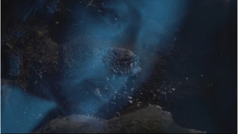 Selva Oscura screenshot 2