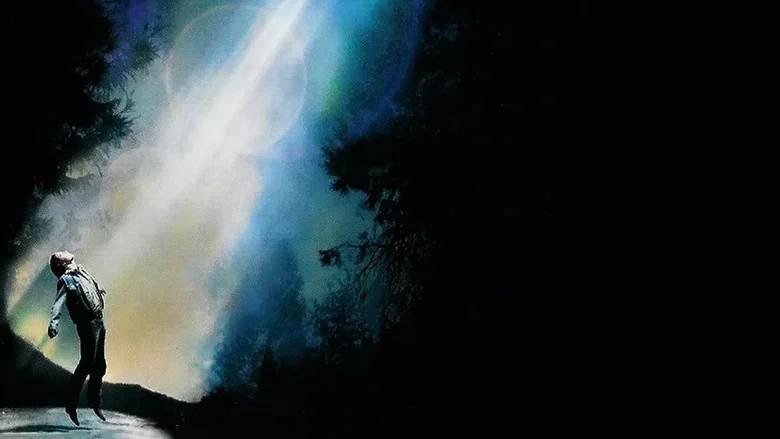 Fire in the Sky screenshot 5