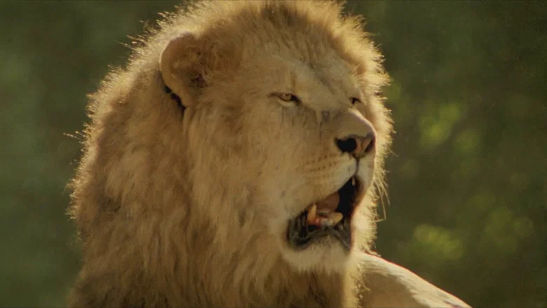 Roar screenshot 7