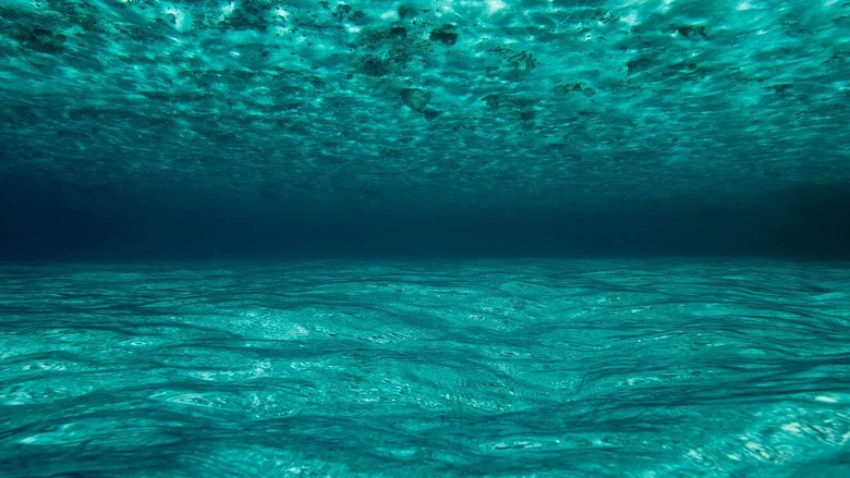 OceanWorld 3D screenshot 2