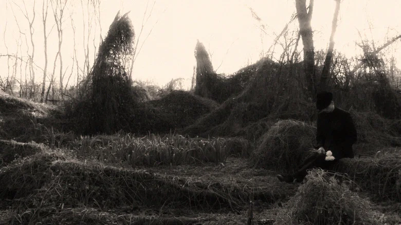 Yours screenshot 3