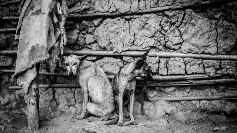 My Death Dog screenshot 2