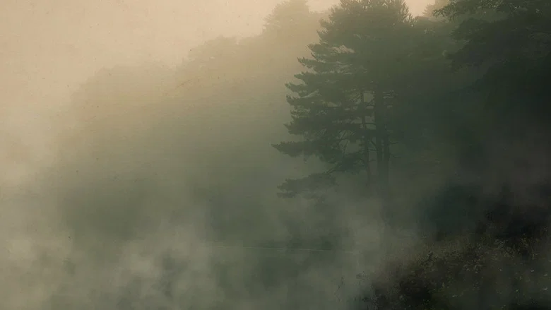 Devil in the Ozarks screenshot 4