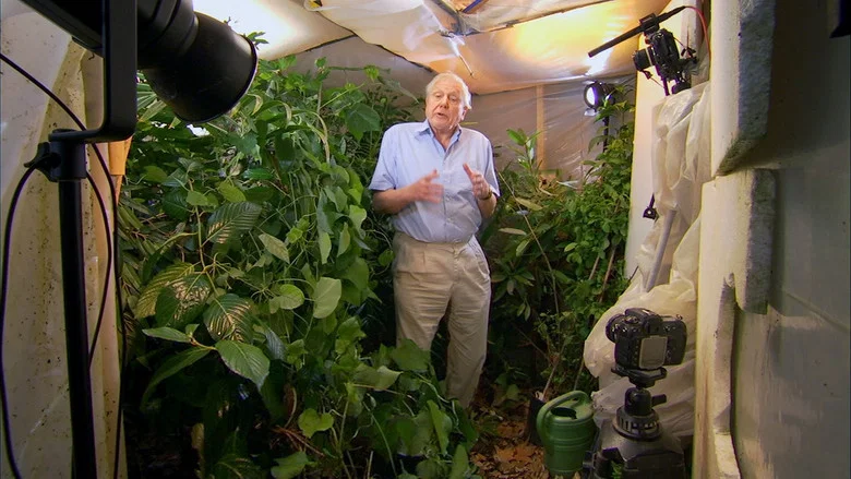 Attenborough: 60 Years in the Wild screenshot 2