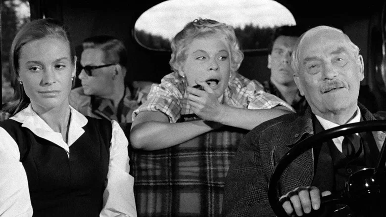 Wild Strawberries screenshot 1