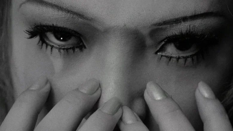 Funeral Parade of Roses screenshot 3